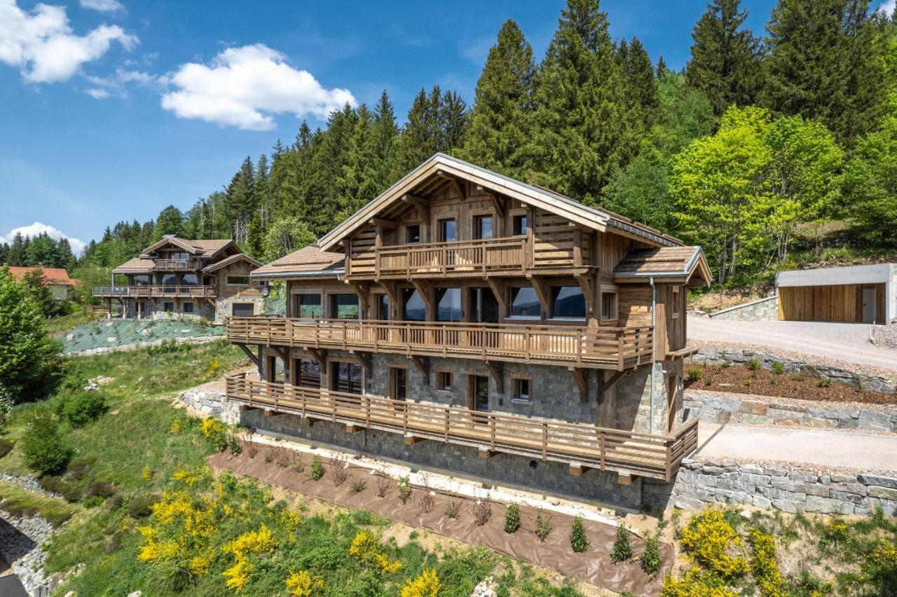 Aigle Des Neiges 5 Etoiles Villa Gerardmer Exterior photo